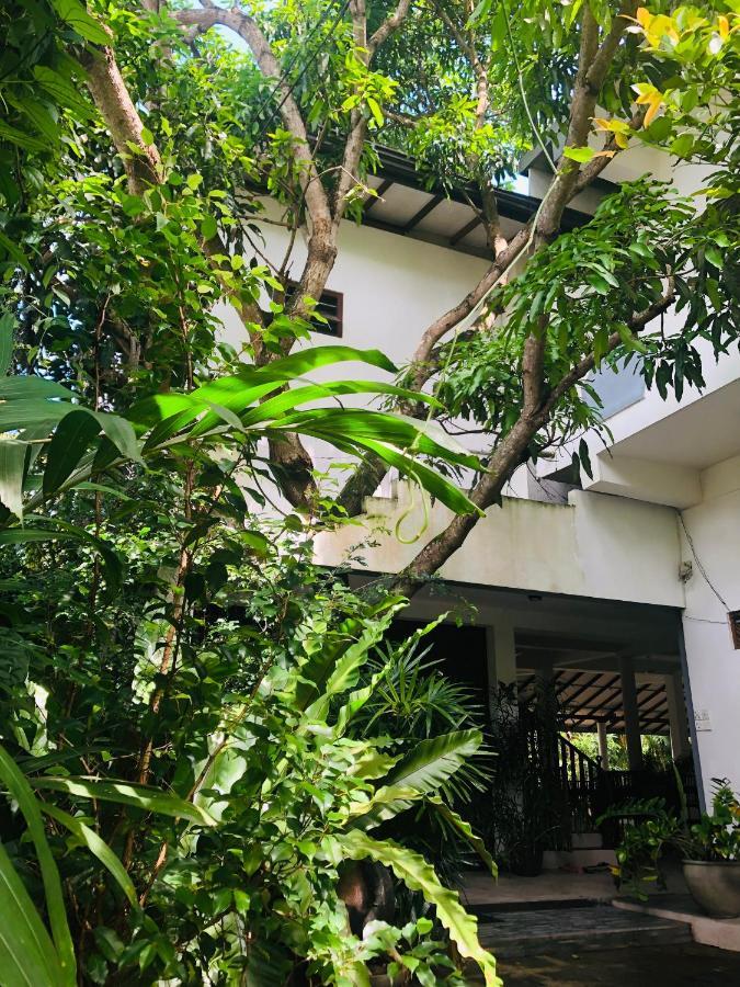 Tinara River Inn, Weligama Esterno foto
