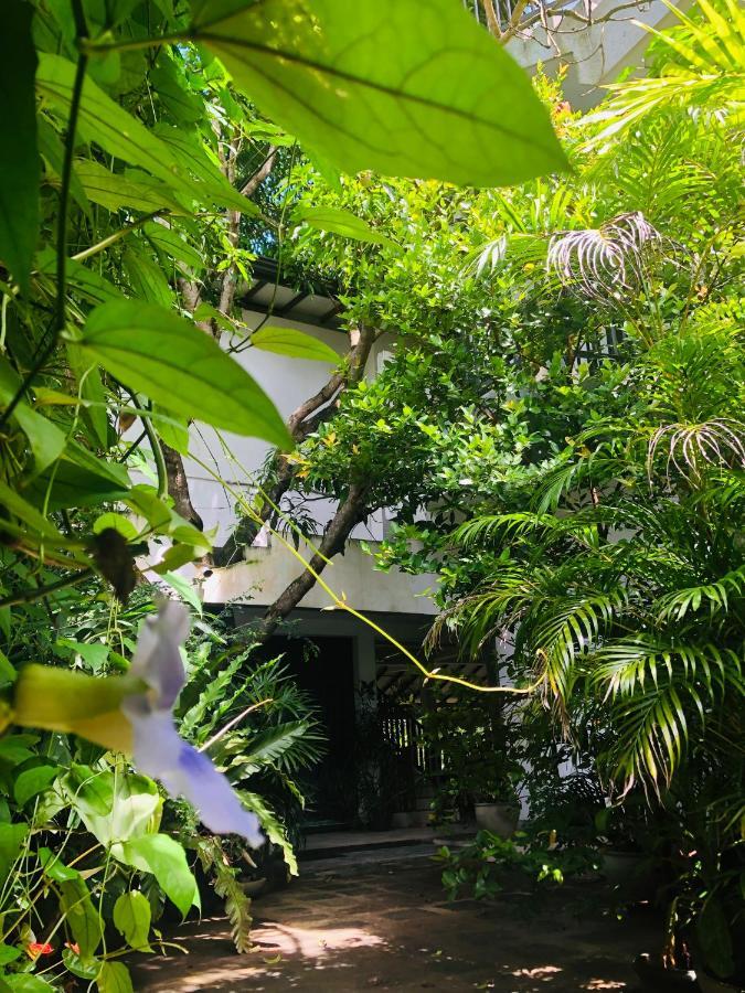 Tinara River Inn, Weligama Esterno foto