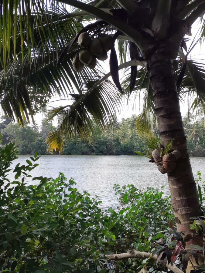 Tinara River Inn, Weligama Esterno foto